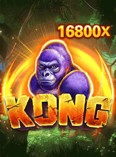 win558